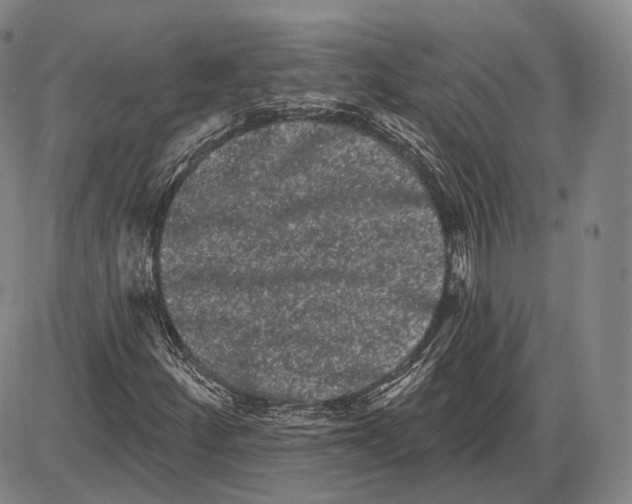 X0000085041252200704021245