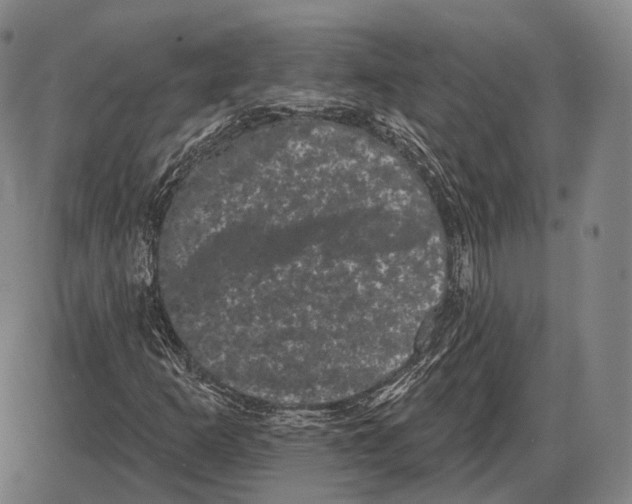 X0000085041253200704021245