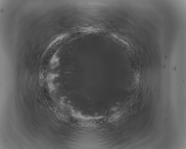 X0000085041254200704021245