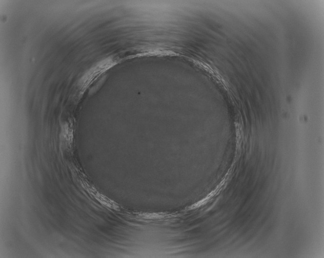 X0000085041257200704021245