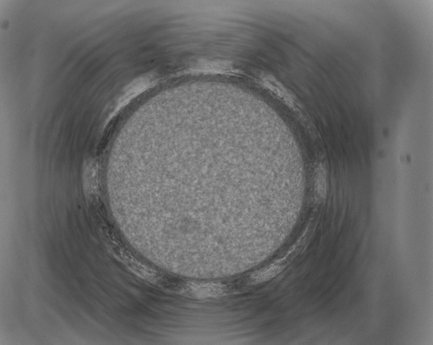 X0000085041258200704021245