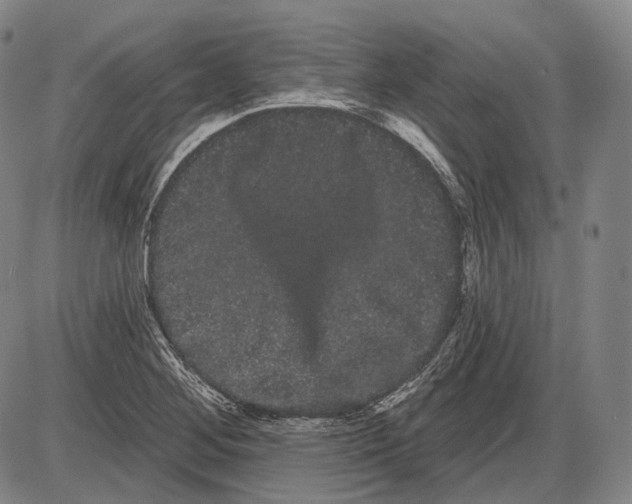 X0000085041268200704021244