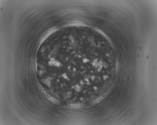 X0000085041274200704021244