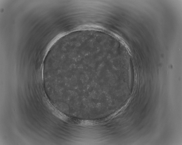 X0000085041275200704021244
