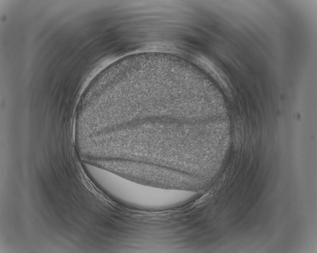 X0000085041276200704021244