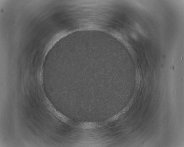 X0000085041278200704021244