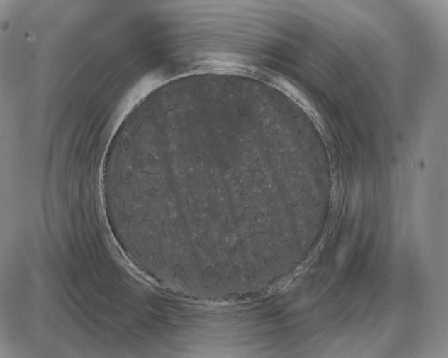 X0000085041283200704021244