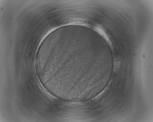 X0000085041284200704021244