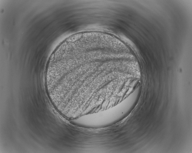 X0000085041288200704021244