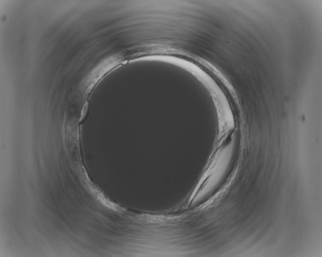 X0000085041289200704021244