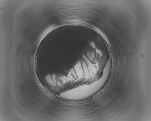 X0000085041291200704021244