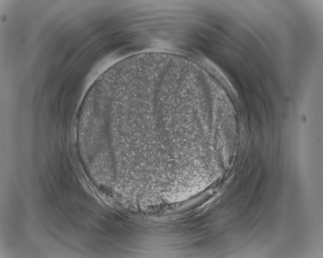 X0000085041292200704021244