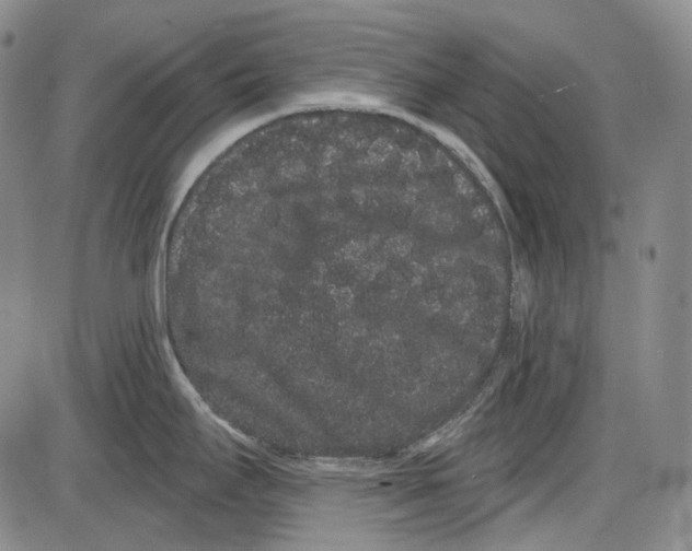 X0000085041295200704021244