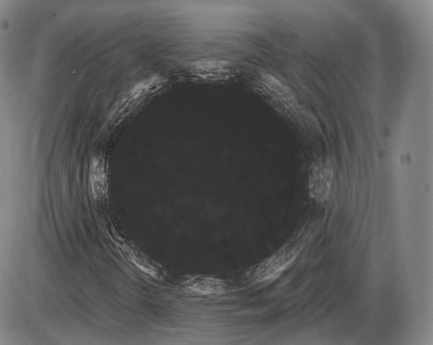 X0000085041298200704021243