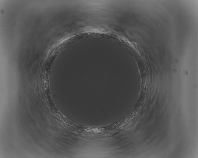 X0000085041303200704021243