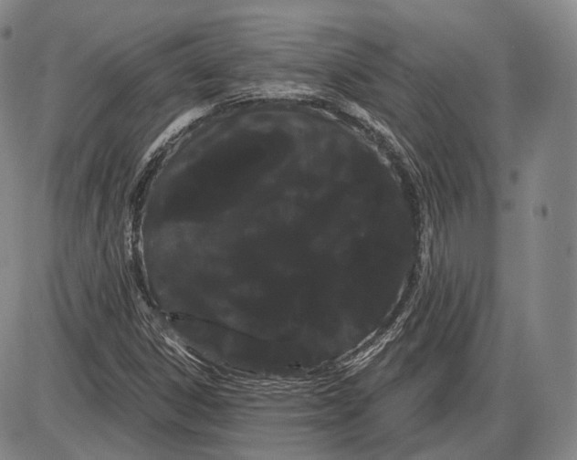 X0000085041306200704021243