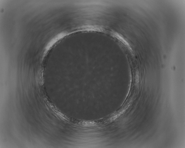 X0000085041310200704021243
