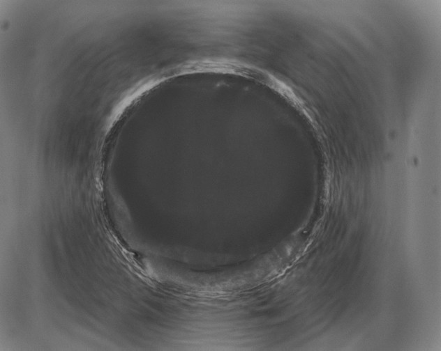 X0000085041312200704021243