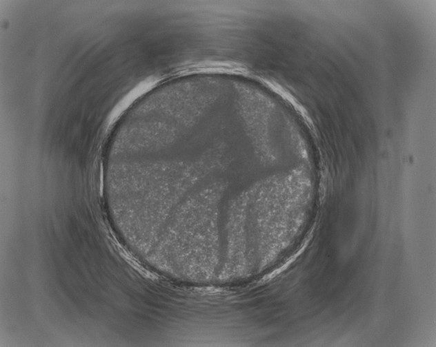 X0000085041317200704021243