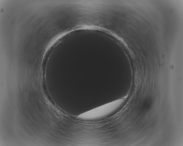 X0000085041319200704021243