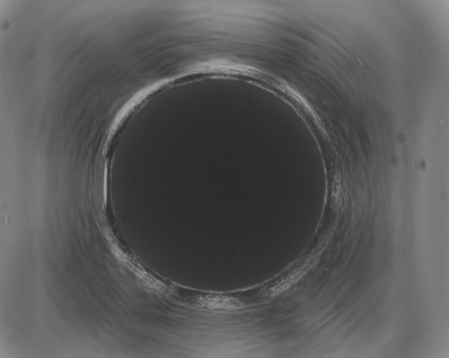X0000085041323200704021244