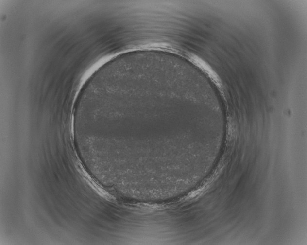 X0000085041324200704021244