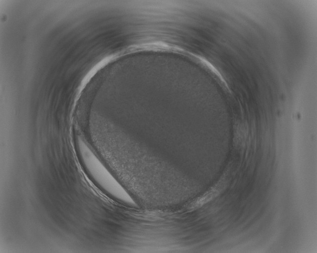 X0000085041326200704021244