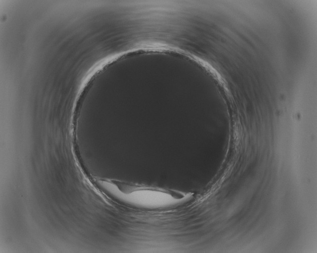 X0000085041327200704021244