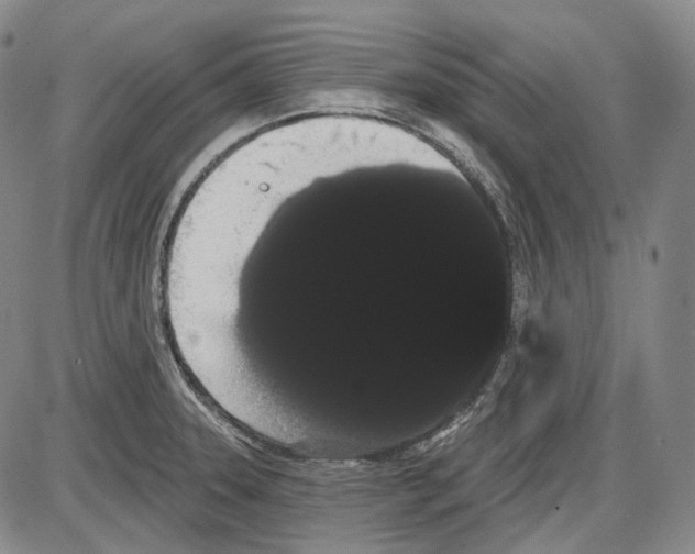 X0000085041331200704021244