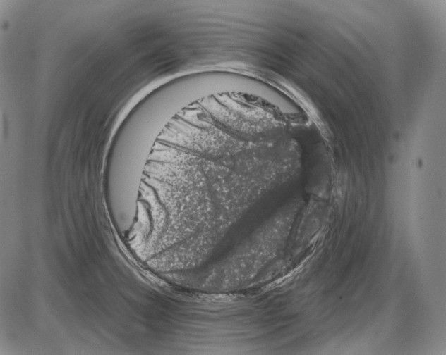 X0000085041332200704021244