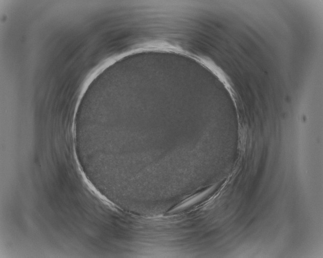 X0000085041335200704021244