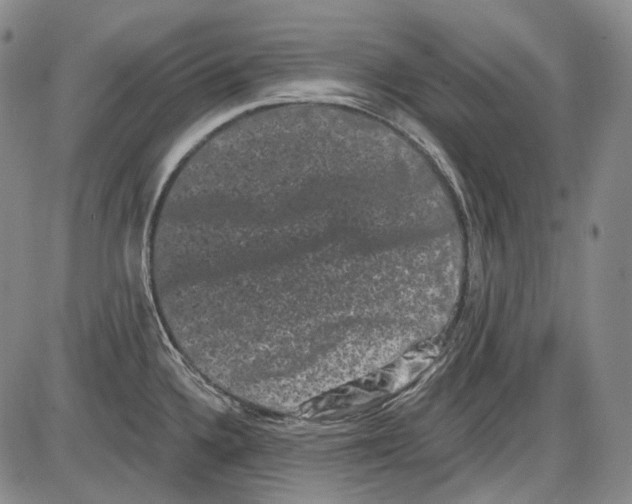 X0000085041336200704021244