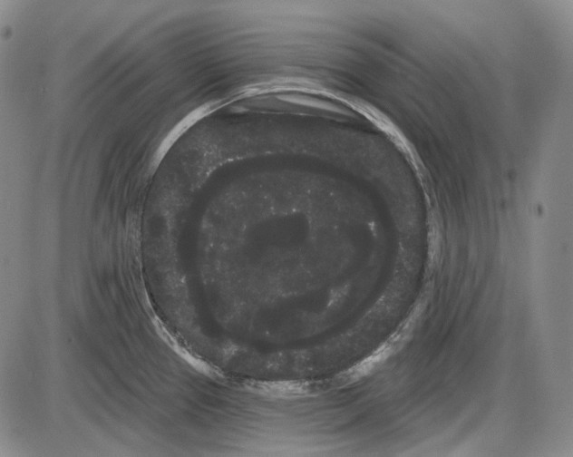X0000085041337200704021244