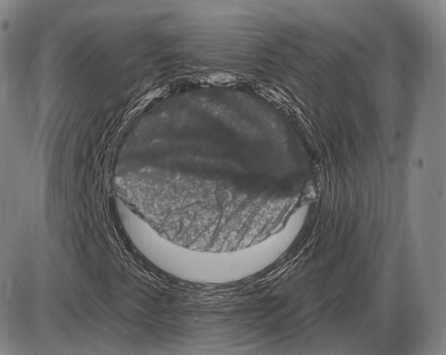 X0000085041345200704021243
