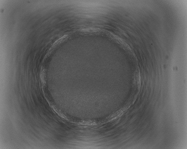 X0000085041346200704021243