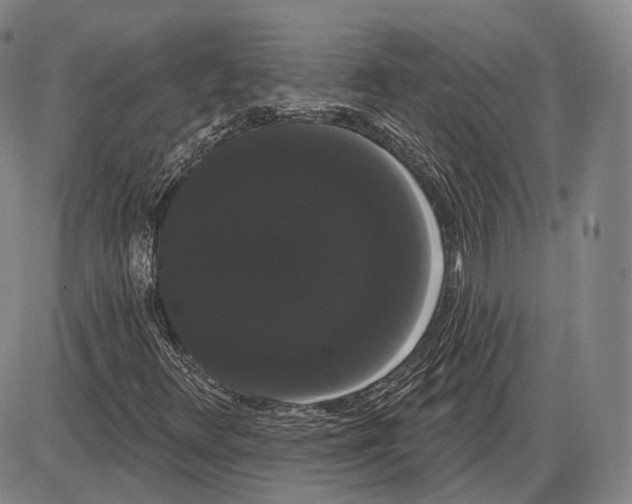X0000085041348200704021243