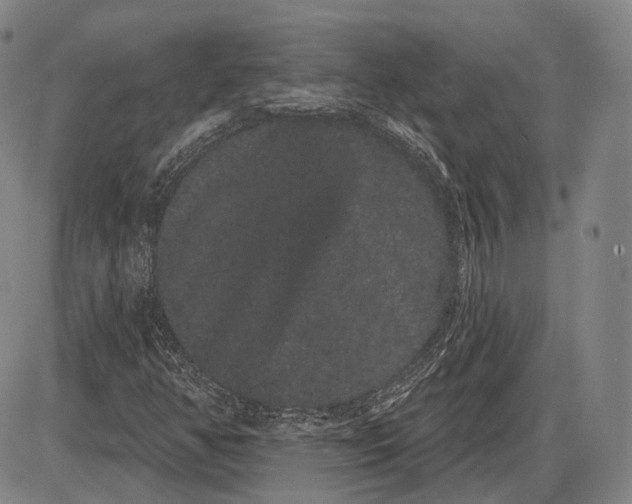 X0000085041350200704021243