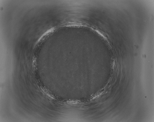 X0000085041351200704021243