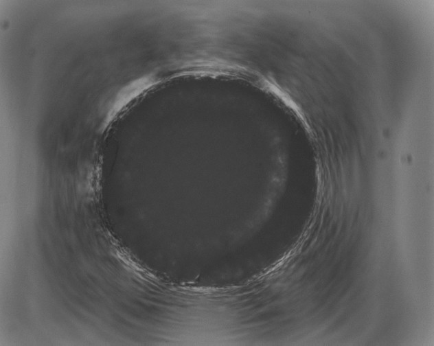 X0000085041352200704021243