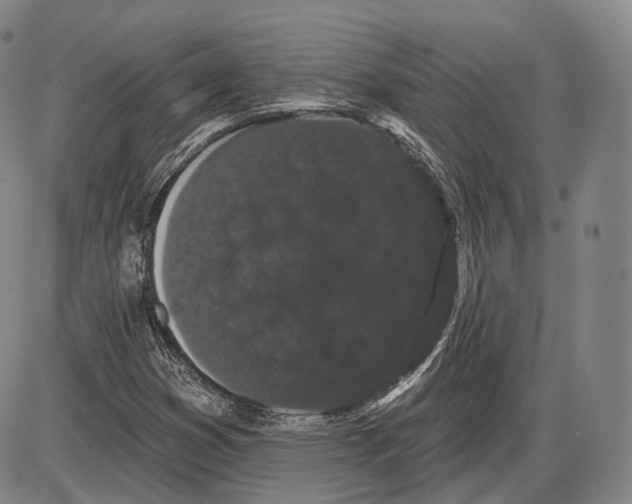 X0000085041353200704021243