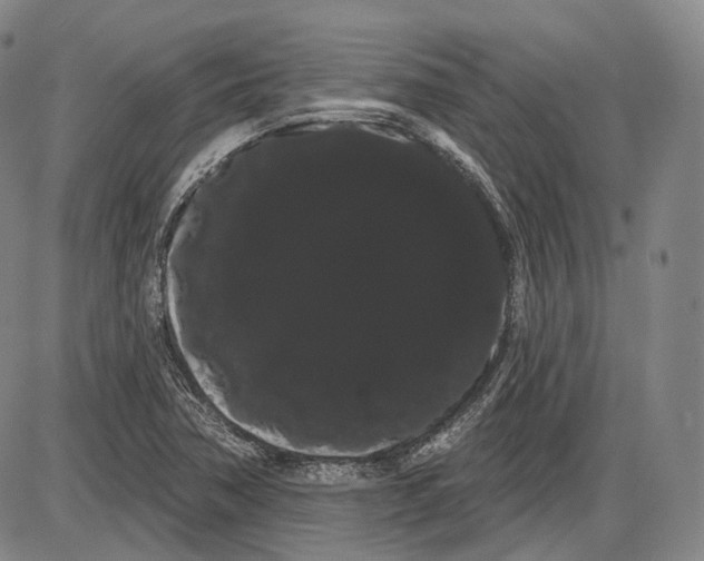 X0000085041362200704021243