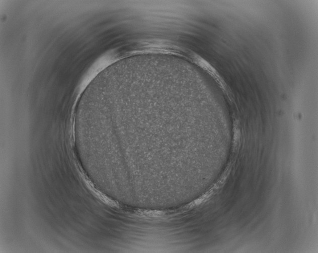 X0000085041370200704021243