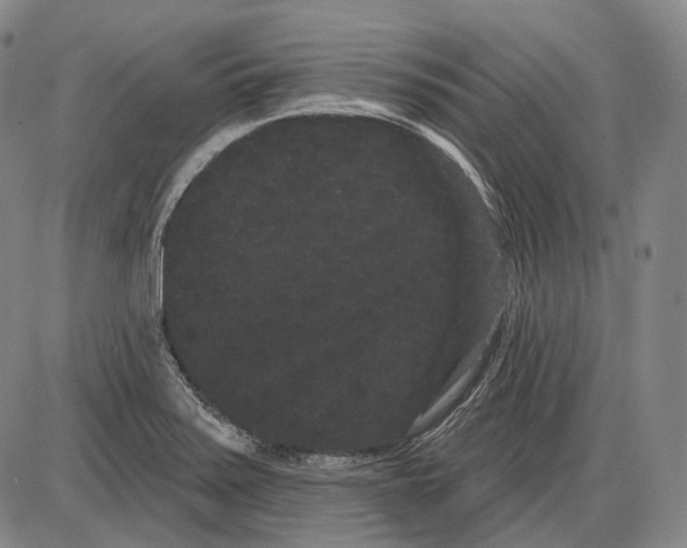 X0000085041371200704021243