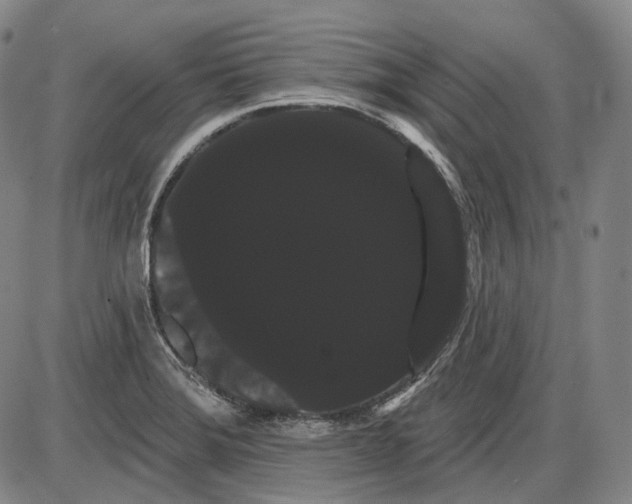 X0000085041372200704021243