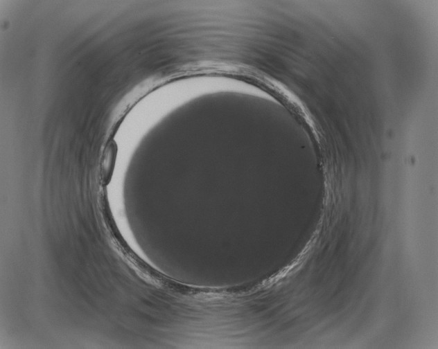 X0000085041373200704021243