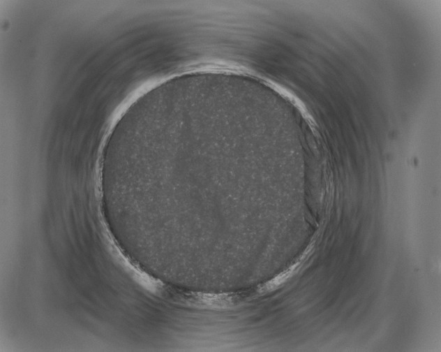 X0000085041375200704021243