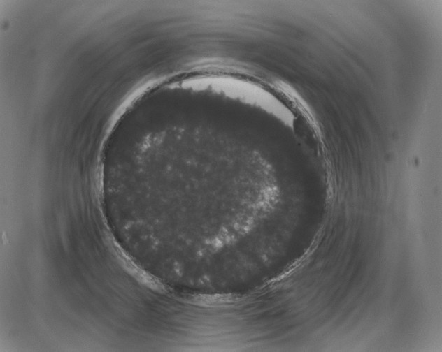 X0000085041376200704021243