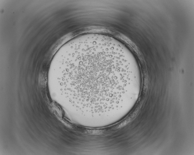X0000085041377200704021243