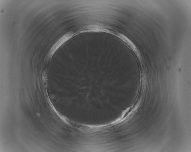 X0000085041385200704021242