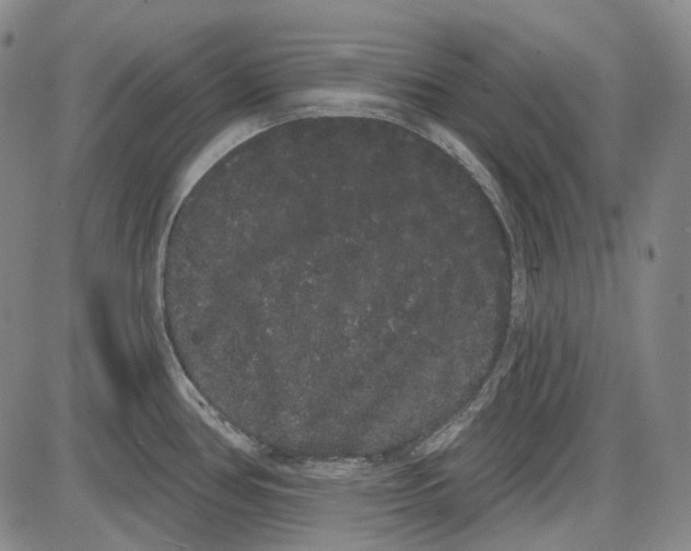 X0000085041386200704021242